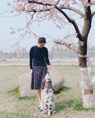 DD20SQPCH02L4C������ȹ��+DD18WTWKC039��ë���� 